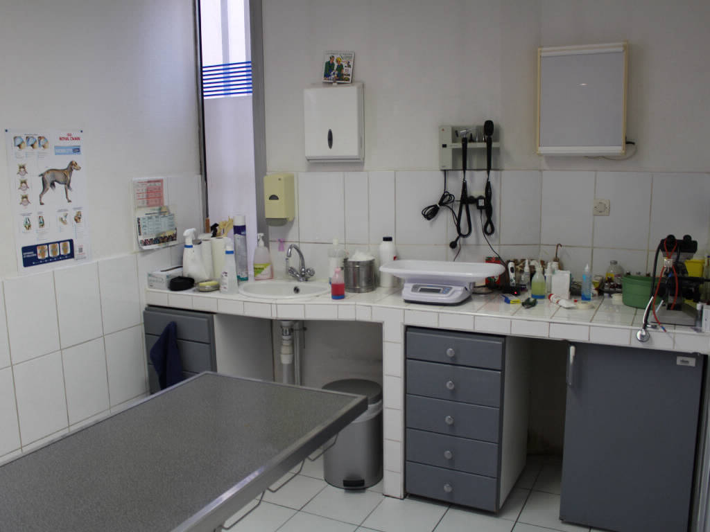 Clinique Vétérinaire Lattes Aragon • Première Salle de Consultation