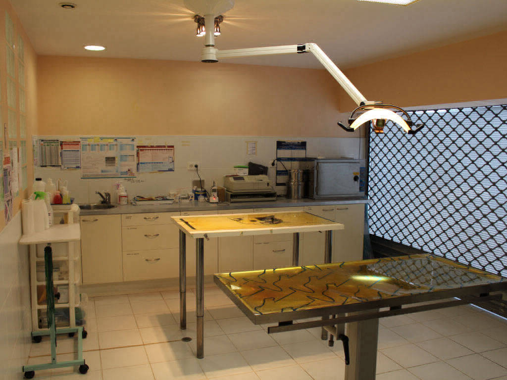 Clinique Vétérinaire Lattes Aragon • Salle de Chirurgie