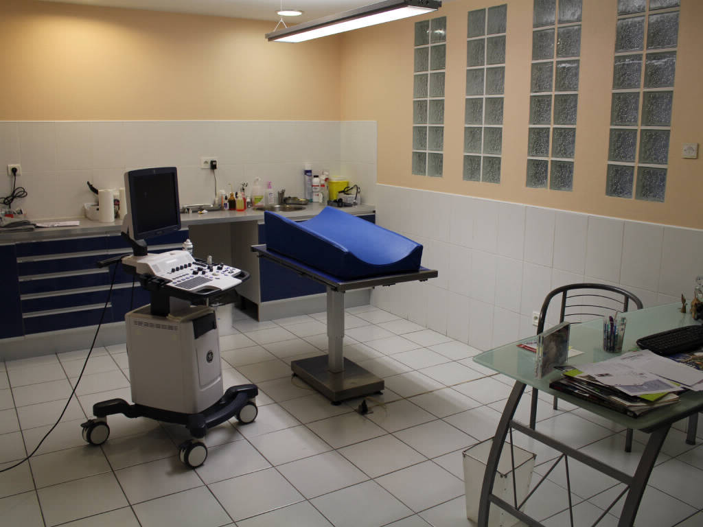 Clinique Vétérinaire Lattes Aragon • Deuxième Salle de Consultation