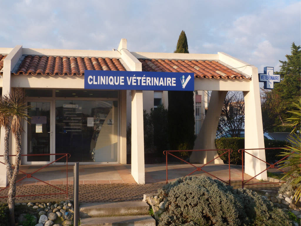 Clinique Vétérinaire Lattes Aragon • Vue Extérieur Place d'Aragon