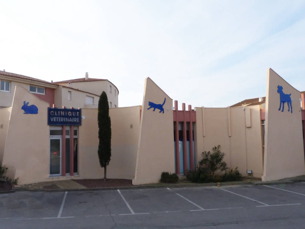 Clinique Vétérinaire Lattes Aragon • Vue Extérieur Rue des Jonquilles