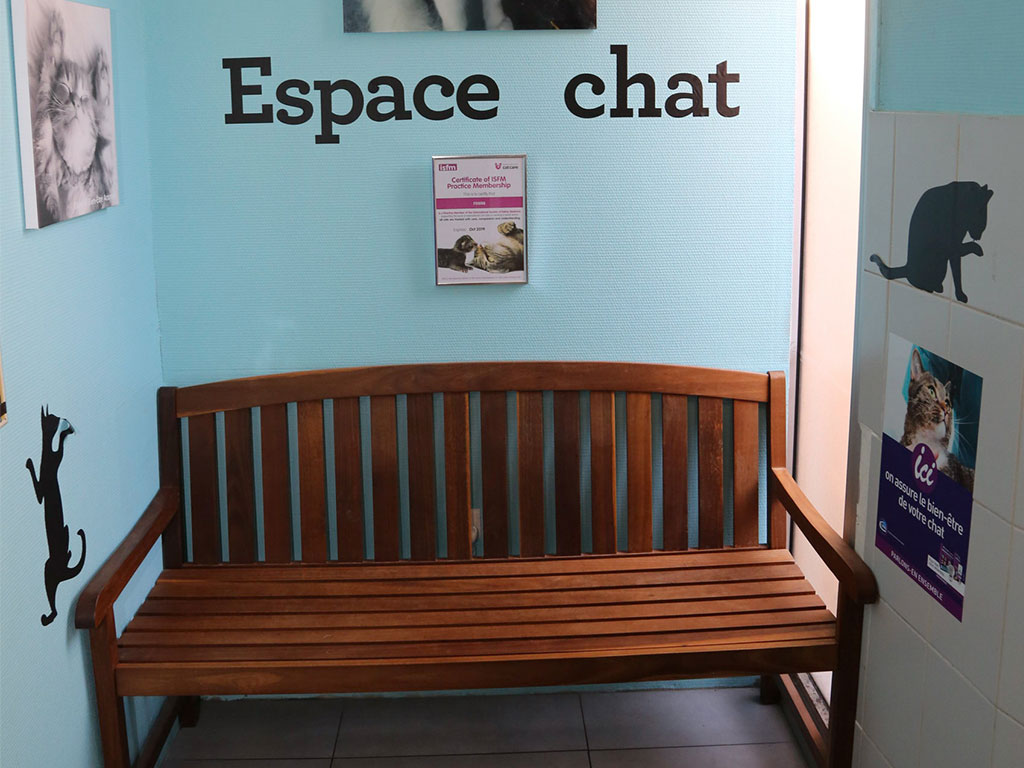 Espace Chat Clinique Vétérinaire Lattes